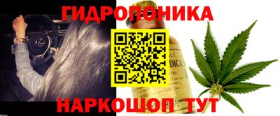 гидра Обь