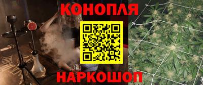 гидра Обь